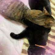 ヒメ日記 2025/11/09 15:14 投稿 結夢（ゆめ） 丸妻 錦糸町店