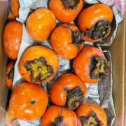 ヒメ日記 2025/11/10 15:27 投稿 結夢（ゆめ） 丸妻 錦糸町店