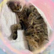 ヒメ日記 2025/11/22 14:09 投稿 結夢（ゆめ） 丸妻 錦糸町店