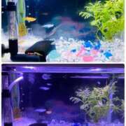 ヒメ日記 2025/12/16 19:12 投稿 結夢（ゆめ） 丸妻 錦糸町店