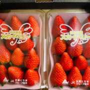 ヒメ日記 2026/01/23 20:03 投稿 結夢（ゆめ） 丸妻 錦糸町店