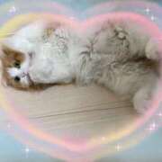 ヒメ日記 2026/02/20 13:11 投稿 結夢（ゆめ） 丸妻 錦糸町店