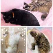 ヒメ日記 2026/02/22 19:00 投稿 結夢（ゆめ） 丸妻 錦糸町店