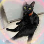 ヒメ日記 2026/03/03 17:24 投稿 結夢（ゆめ） 丸妻 錦糸町店