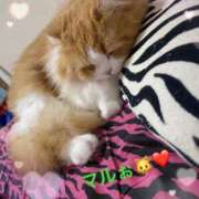 ヒメ日記 2026/04/01 10:14 投稿 結夢（ゆめ） 丸妻 錦糸町店