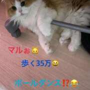 ヒメ日記 2026/04/05 13:50 投稿 結夢（ゆめ） 丸妻 錦糸町店