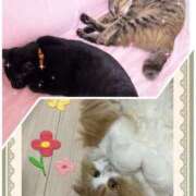 ヒメ日記 2026/04/06 17:43 投稿 結夢（ゆめ） 丸妻 錦糸町店