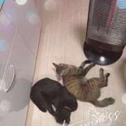 ヒメ日記 2026/04/08 10:44 投稿 結夢（ゆめ） 丸妻 錦糸町店