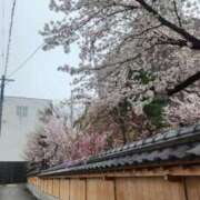 ヒメ日記 2026/04/06 11:52 投稿 かのん【美巨乳ドS♡♡♡奥さま】 人妻ラブマシーン