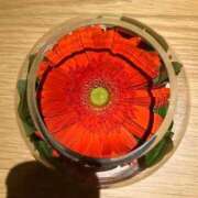 宇野 舞奈 おはようございます✨ 横浜貴楼館