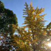 宇野 舞奈 こんにちは！先日のお休みについて、、 横浜貴楼館