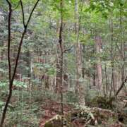 宇野 舞奈 おはようございます🌿✨ 東京貴楼館