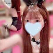 ヒメ日記 2025/10/12 09:31 投稿 たまき JAPAN CLUB BUNNY LOUNGE
