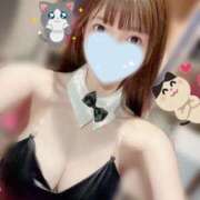 ヒメ日記 2025/10/21 09:44 投稿 たまき JAPAN CLUB BUNNY LOUNGE