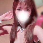 ヒメ日記 2026/02/10 17:12 投稿 たまき JAPAN CLUB BUNNY LOUNGE