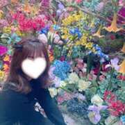 ヒメ日記 2026/02/20 05:29 投稿 たまき JAPAN CLUB BUNNY LOUNGE