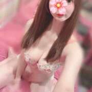 ヒメ日記 2026/03/07 15:15 投稿 たまき JAPAN CLUB BUNNY LOUNGE