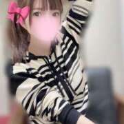 ヒメ日記 2026/03/19 09:23 投稿 たまき JAPAN CLUB BUNNY LOUNGE
