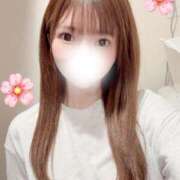 ヒメ日記 2026/04/06 09:01 投稿 たまき JAPAN CLUB BUNNY LOUNGE