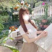 ヒメ日記 2026/09/29 11:49 投稿 たまき JAPAN CLUB BUNNY LOUNGE