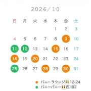 ヒメ日記 2026/09/29 21:04 投稿 たまき JAPAN CLUB BUNNY LOUNGE