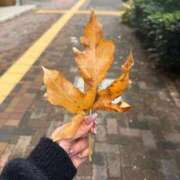 ヒメ日記 2025/11/10 22:43 投稿 こと☆エロカワロリっ子！ JKサークル