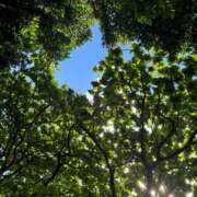 おとは おは🥱 Profile～プロフィール～（那覇）