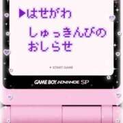 ヒメ日記 2025/11/24 11:30 投稿 長谷川【ジュリアコース】 サロン・ド・ティアラ 浜松店