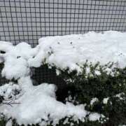 ヒメ日記 2026/02/08 14:44 投稿 みすず ○コキクリニック～○○クリニックシリーズ～