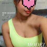 ヒメ日記 2025/11/18 03:39 投稿 るな 新宿プチドール