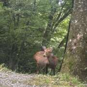 ヒメ日記 2025/10/15 08:30 投稿 あおい★ 阿AUN呍(あうん)