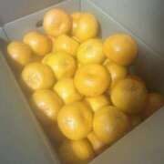 ヒメ日記 2026/01/21 12:00 投稿 あおい★ 阿AUN呍(あうん)