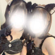 チューリップ ♥︎明日12時〜♥︎ 飾窓