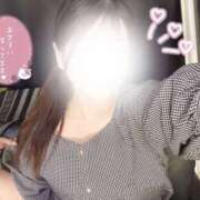 チューリップ ♥︎明日11時〜♥︎ 飾窓