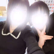 ヒメ日記 2025/12/18 11:48 投稿 チューリップ 飾窓