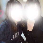 ヒメ日記 2026/01/21 10:54 投稿 チューリップ 飾窓