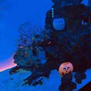 ヒメ日記 2025/09/23 15:22 投稿 もな ゆるふわ彼女