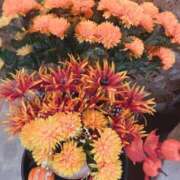 ヒメ日記 2025/09/26 20:22 投稿 もな ゆるふわ彼女