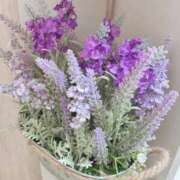 ヒメ日記 2025/09/29 21:40 投稿 もな ゆるふわ彼女