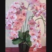 もな 💗リクエスト日記💗 ゆるふわ彼女