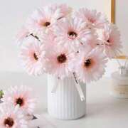 ヒメ日記 2026/01/09 22:33 投稿 もな ゆるふわ彼女