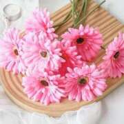 ヒメ日記 2026/01/13 17:48 投稿 もな ゆるふわ彼女