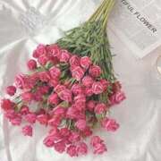 ヒメ日記 2026/02/01 20:03 投稿 もな ゆるふわ彼女