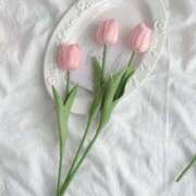 ヒメ日記 2026/02/02 22:33 投稿 もな ゆるふわ彼女