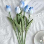 ヒメ日記 2026/02/07 20:13 投稿 もな ゆるふわ彼女