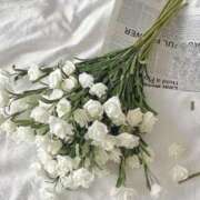 ヒメ日記 2026/02/09 21:13 投稿 もな ゆるふわ彼女