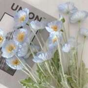 ヒメ日記 2026/02/11 22:53 投稿 もな ゆるふわ彼女