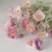 ヒメ日記 2026/02/11 23:13 投稿 もな ゆるふわ彼女