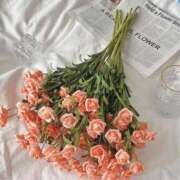 ヒメ日記 2026/02/13 22:33 投稿 もな ゆるふわ彼女