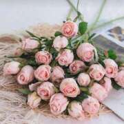 ヒメ日記 2026/02/24 12:13 投稿 もな ゆるふわ彼女